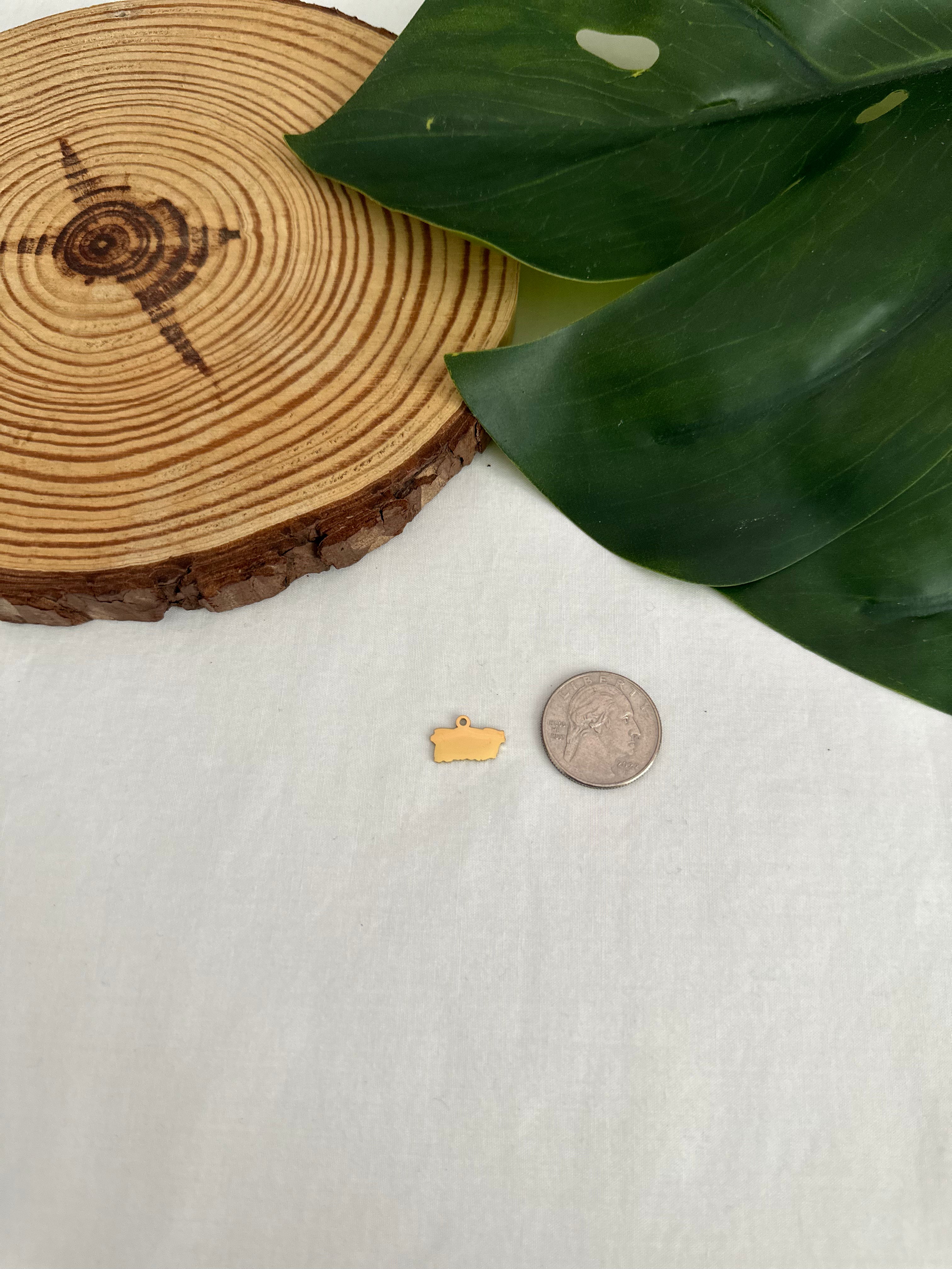 Micro PR charm
