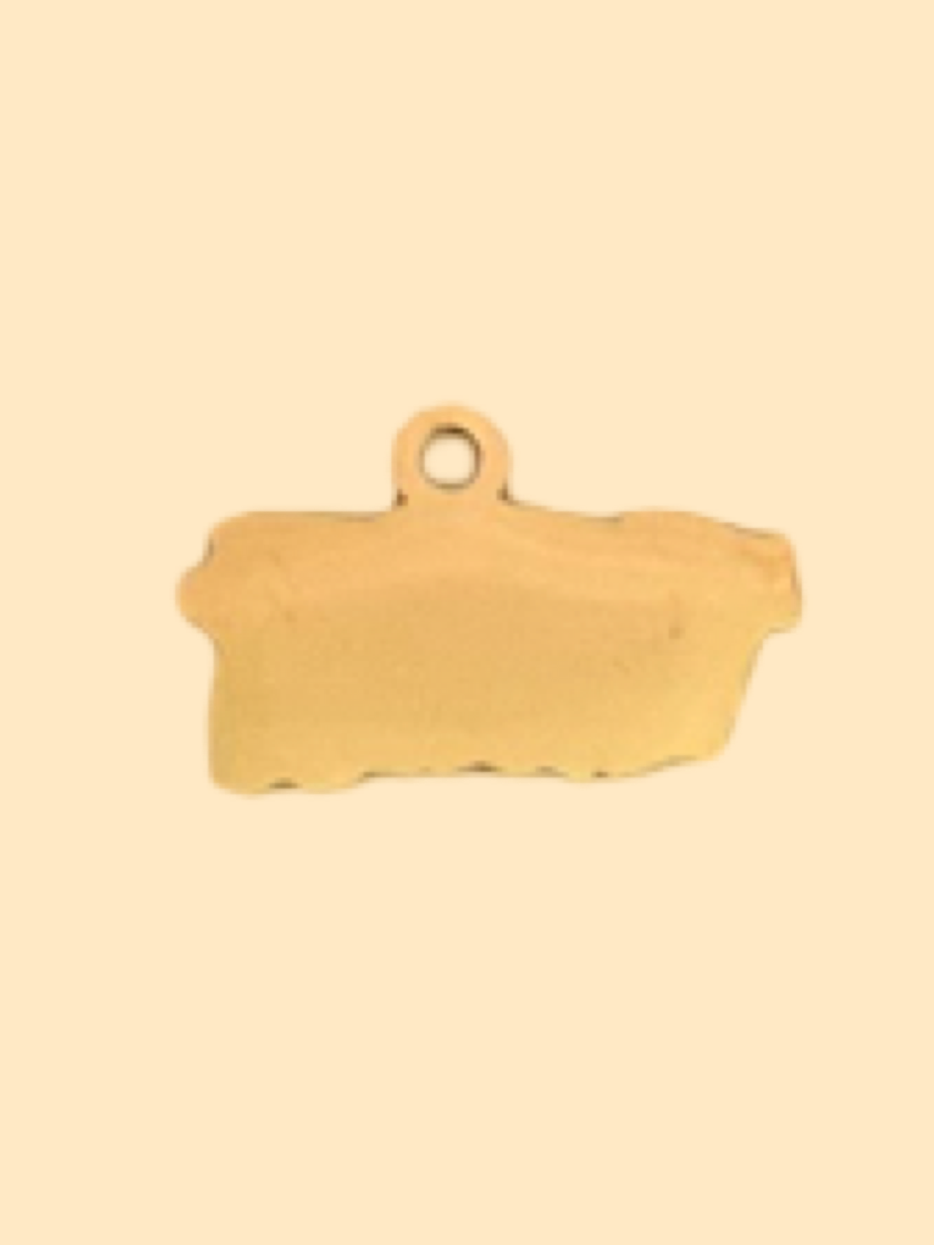 Micro PR charm